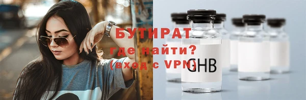 гашик Алексин