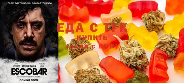 гашик Алексин