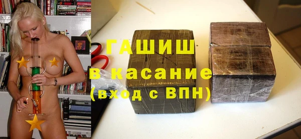 гашик Алексин