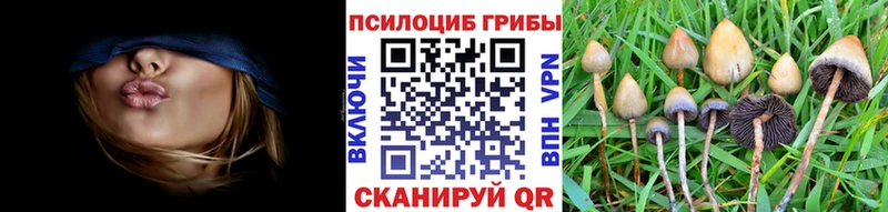 Псилоцибиновые грибы ЛСД  Гдов 