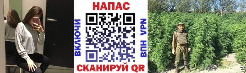что такое MEGA вход Марихуана LSD WEED Гдов
